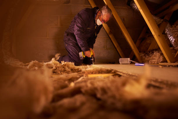 Best Energy Efficiency Insulation in Cary, NC